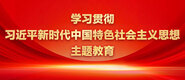 不要插进来，啊啊啊视频学习贯彻习近平新时代中国特色社会主义思想主题教育_fororder_ad-371X160(2)